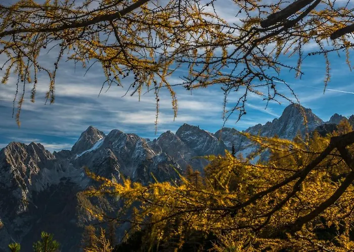 Apartmaji Prton Διαμέρισμα